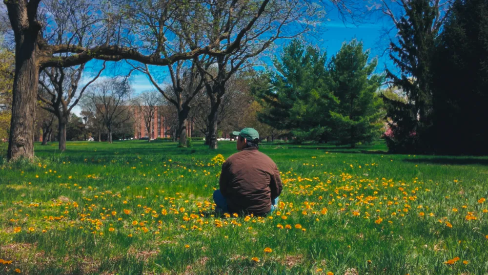 A quiet moment sitting in a field of wildflowers