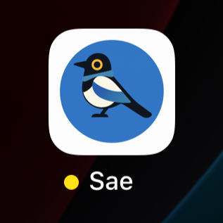 Sae